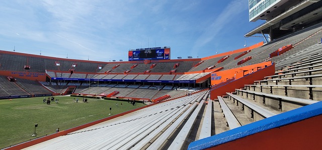 从俄罗斯的 从俄罗斯的