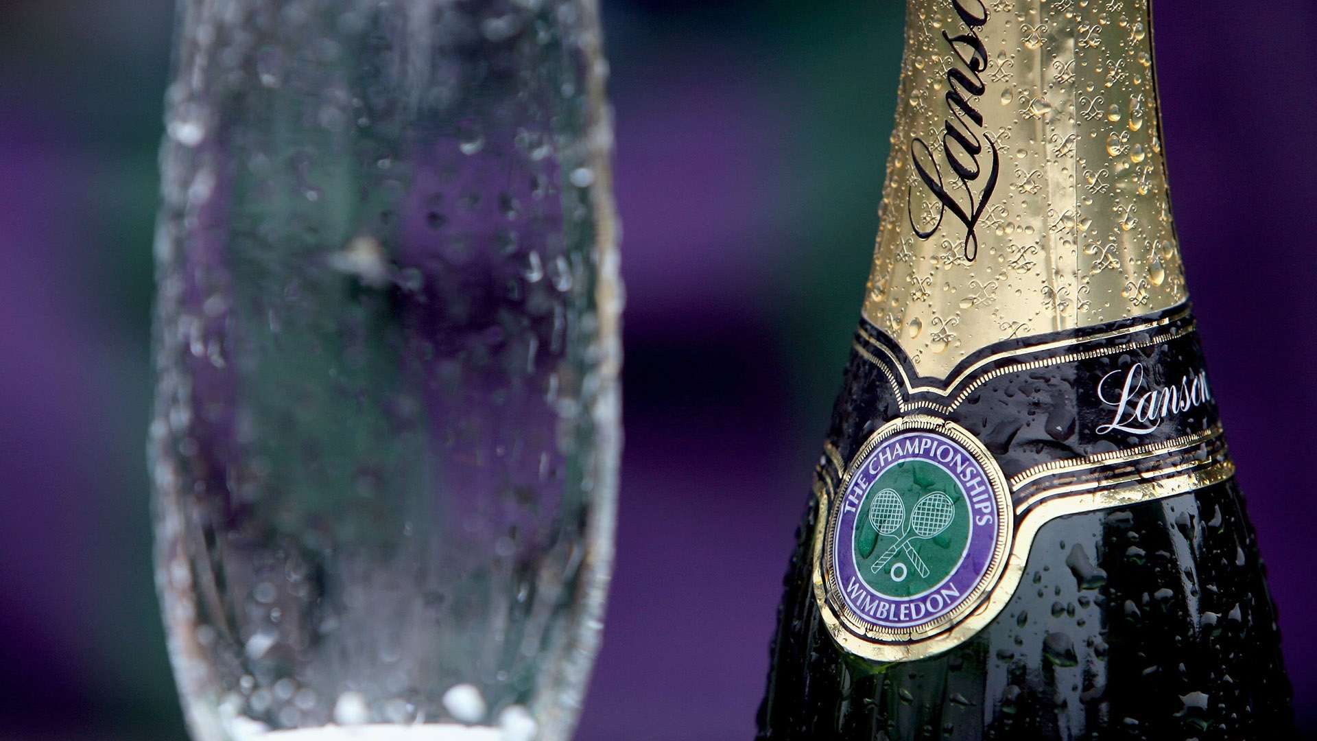 无论是高原 无论是高原