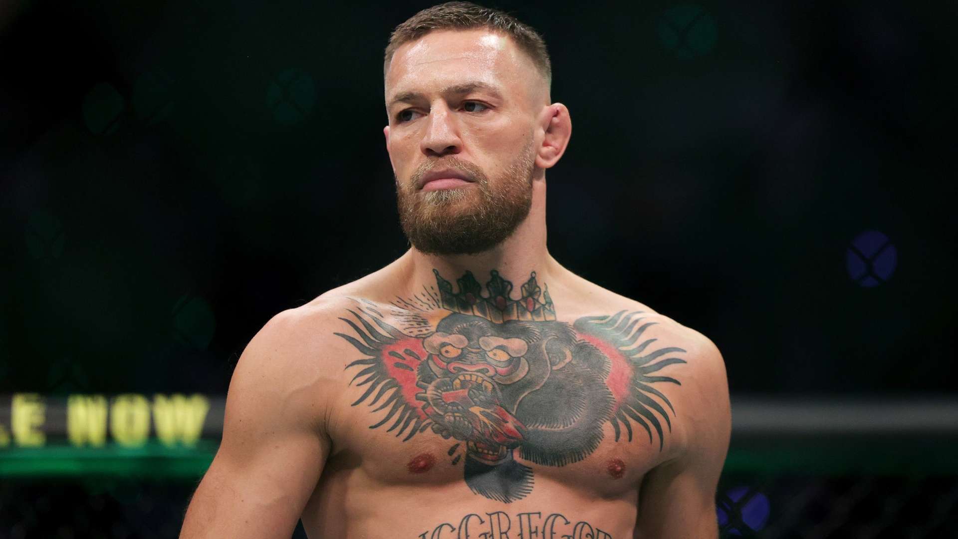 经验稳住阵 经验稳住阵